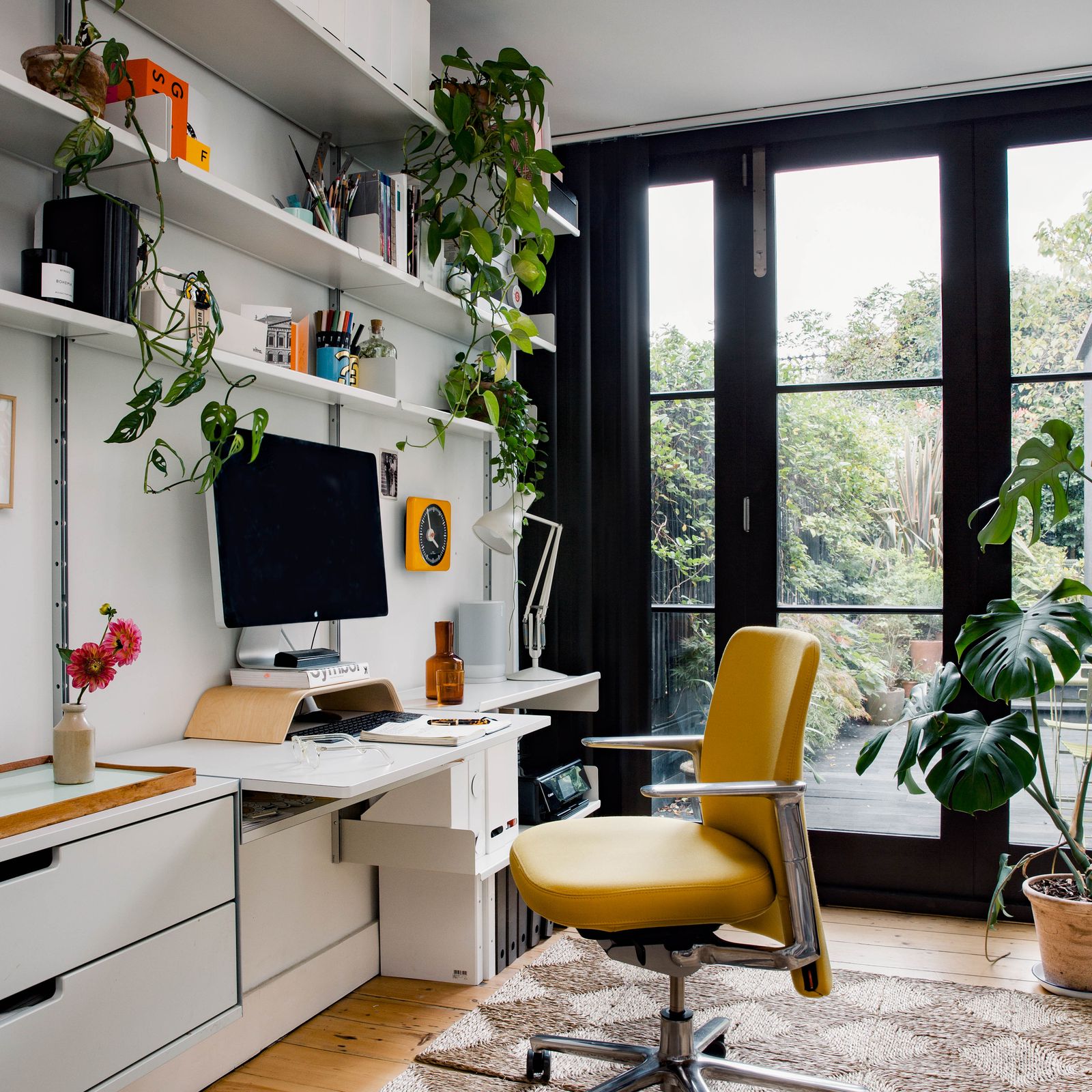 Do air-purifying plants really work? Here's what you need to know